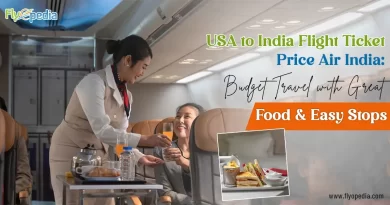 USA to India Flight Ticket Price Air India Budget Travel with Great Food & Easy Stops copy