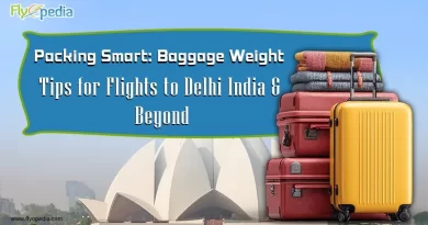 Packing Smart Baggage Weight Tips for Flights to Delhi India & Beyond copy