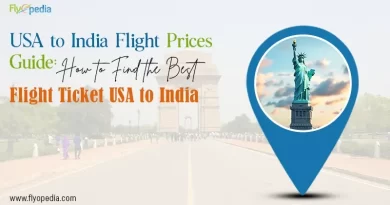 USA to India Flight Prices Guide How to Find the Best Flight Ticket USA to India copy