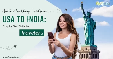 How to Plan Cheap Travel from USA to India Step by Step Guide for Travelers