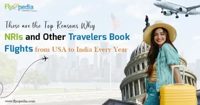 These are the Top Reasons Why NRIs and Other Travelers Book Flights from USA to India Every Year copy