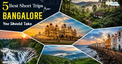 5 Best Short Trips from Bangalore You Should Take