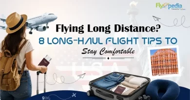 Flying Long Distance 8 Long Haul Flight Tips to Stay Comfortable