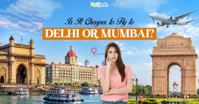 Is It Cheaper to Fly to Delhi or Mumbai