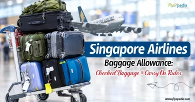 Singapore Airlines Baggage Allowance Carry On & Checked Bag Rules